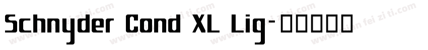 Schnyder Cond XL Lig字体转换